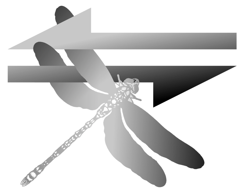 On The Fly Logo